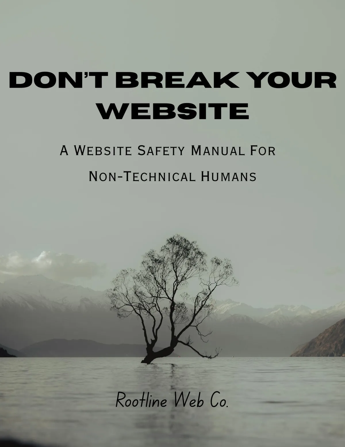 Website Edit Survival Guide cover. Don't Break Your Website Making Changes