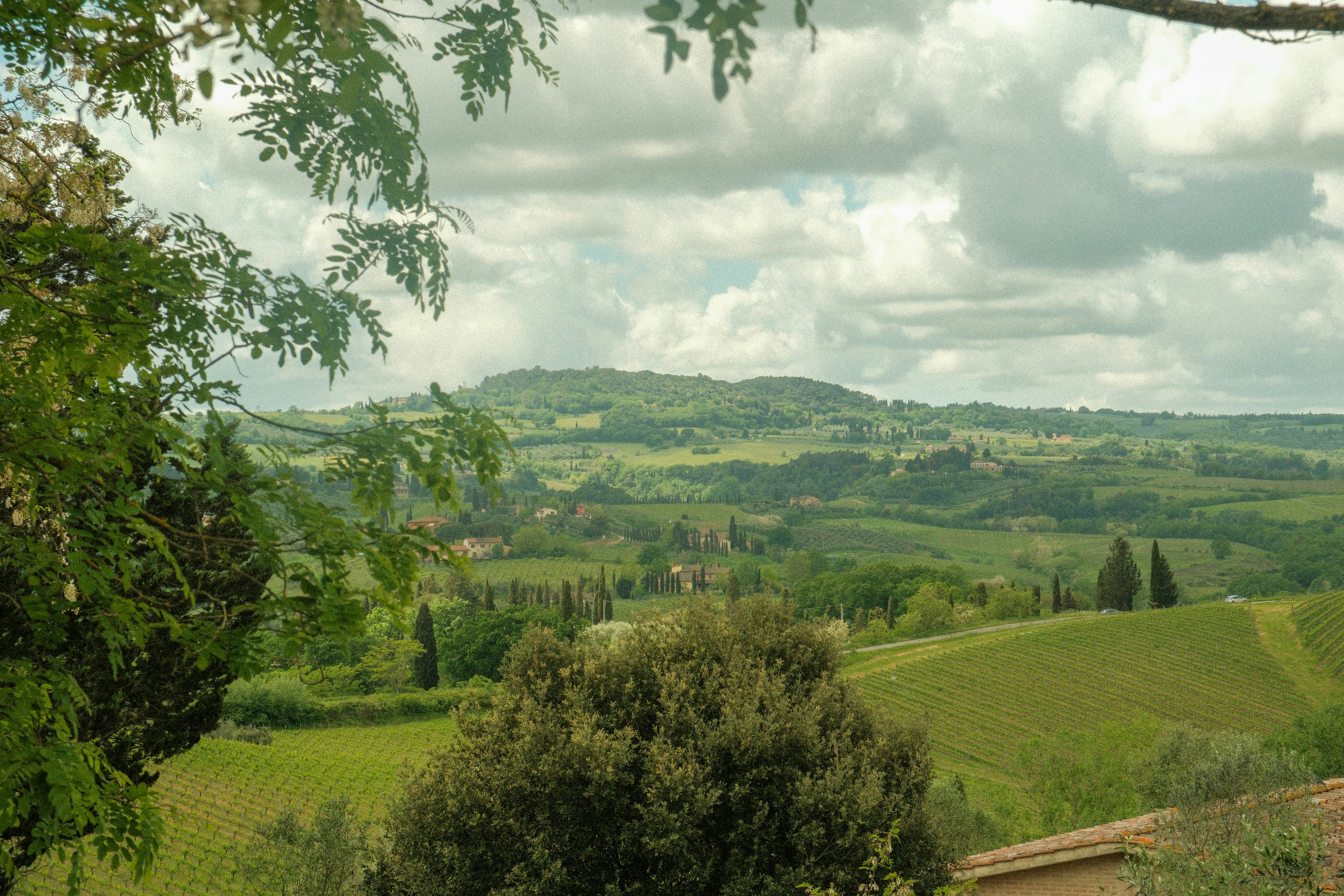 Rebirth on Earth 2026 Tuscany Retreats