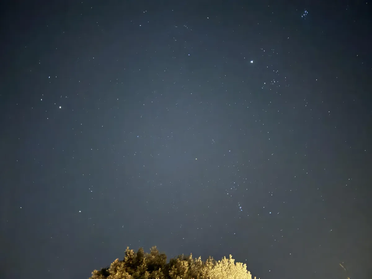 Rebirth on Earth Retreat Star-Filled Night Sky