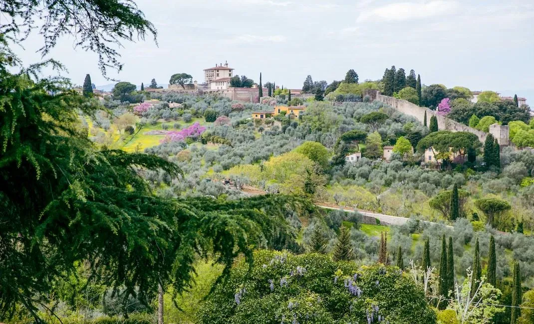 Tuscany Fall Landscape