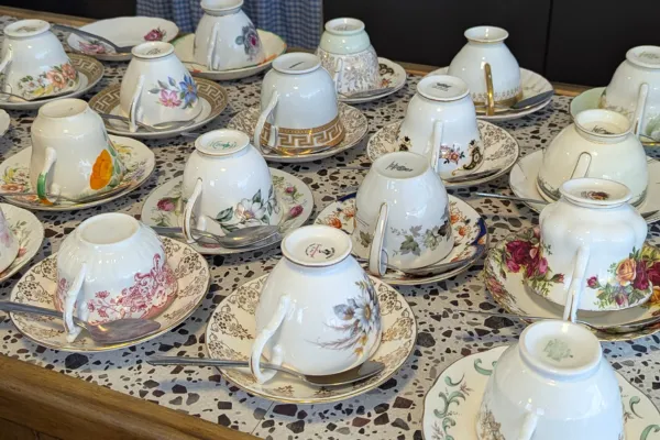 vintage tea cups on counter