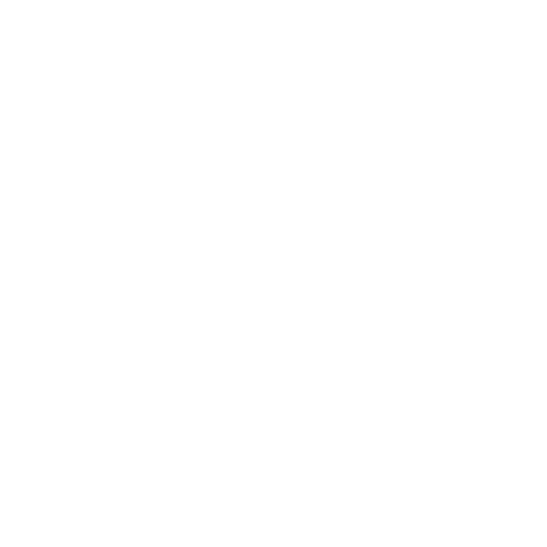 Pro Global Solutions