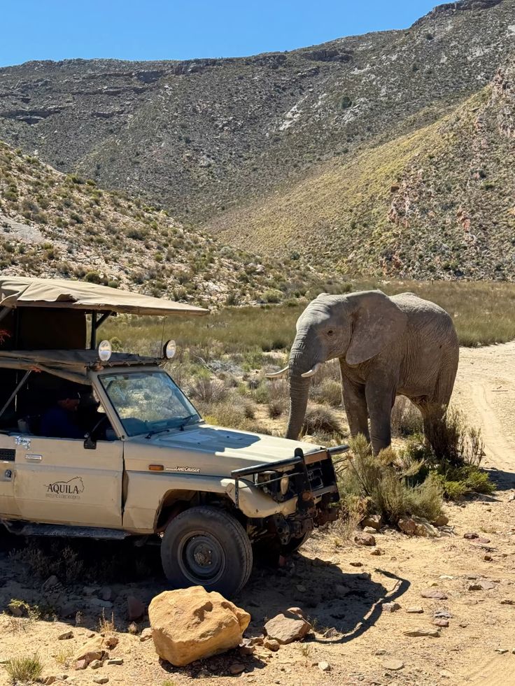 South Africa Travel Guide 2027: Best Time to Visit, Safety & Planning Tips