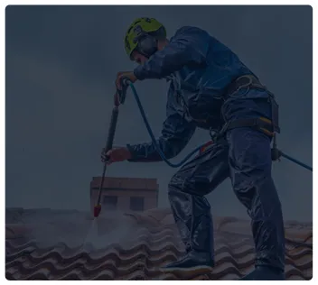 Safe low-pressure roof cleaning to remove moss and black streaks.