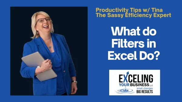What do Filters in Excel Do?