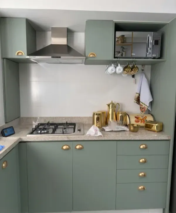 Modern sage green small kitchen design with brass hardware, gas cooktop, and marble countertop.