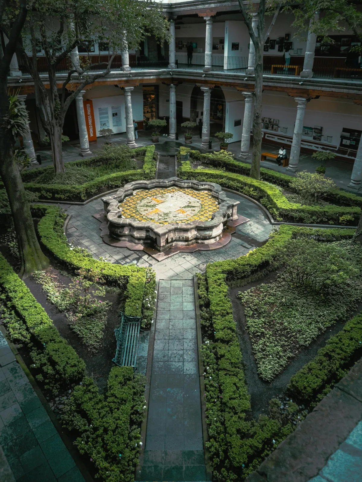 a greenhouse filled with lots of green plants