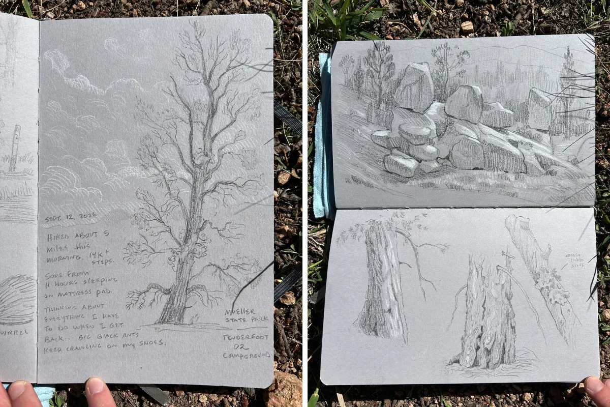 Sketchbook studies of trees and rocks