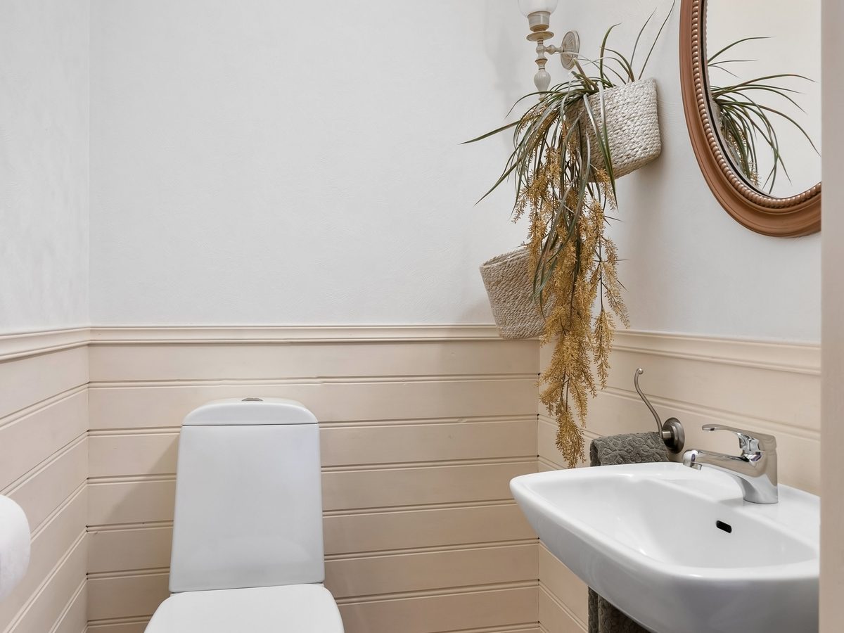 Drain Cleaning 