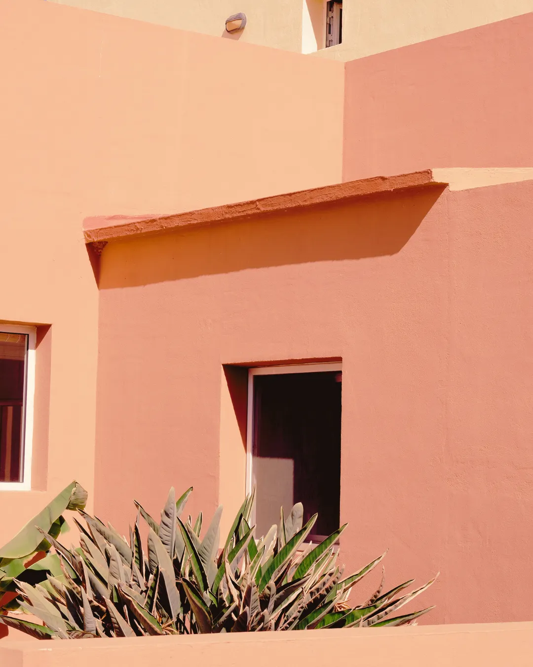 Why Does My Body Feel Like It’s Dying When I Try to Be Visible?