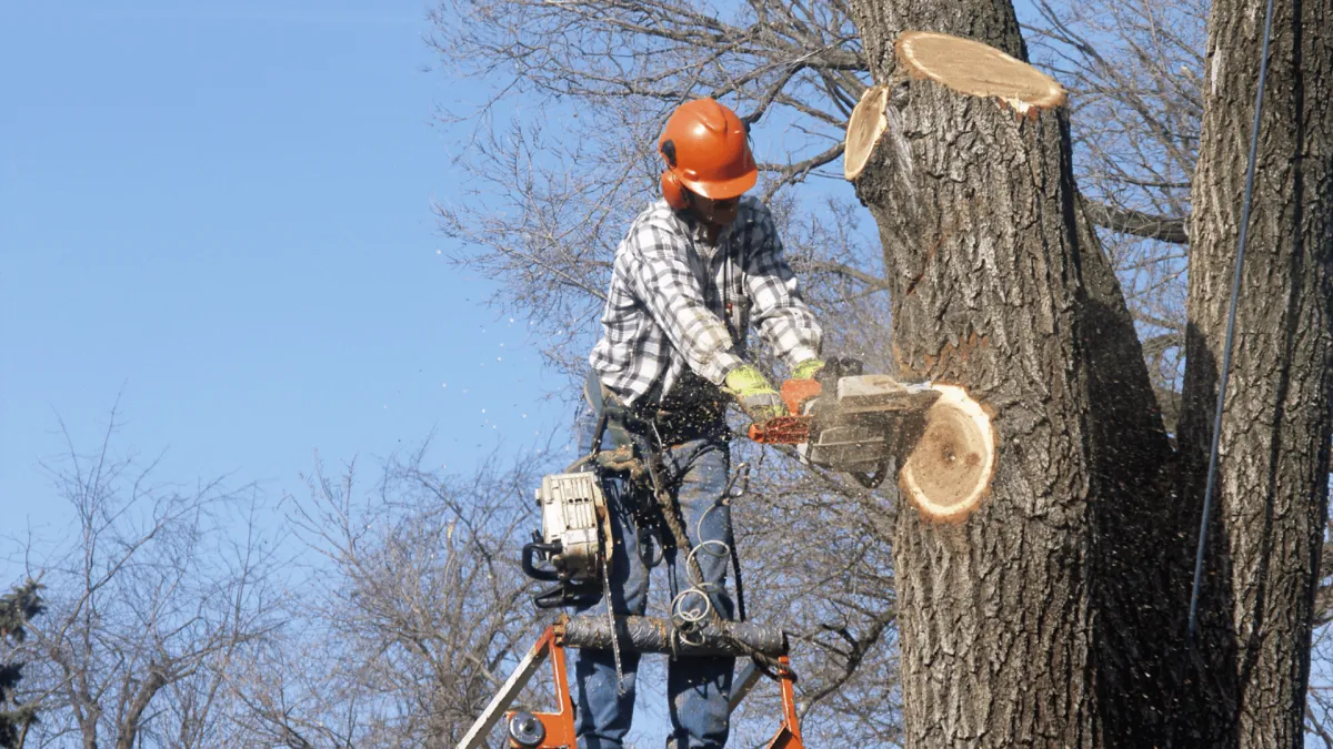 Tree Pruning