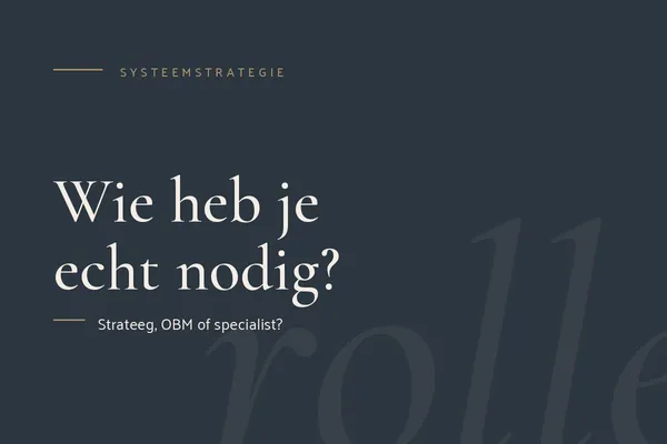 Systeemstrateeg, OBM of technisch VA: wie kies je?