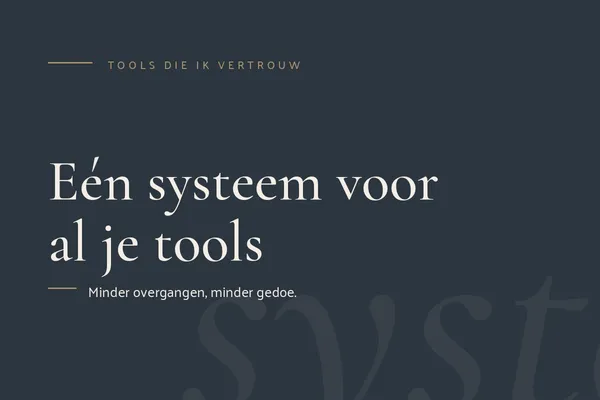 Alles in één systeem voor online ondernemers: El Potato