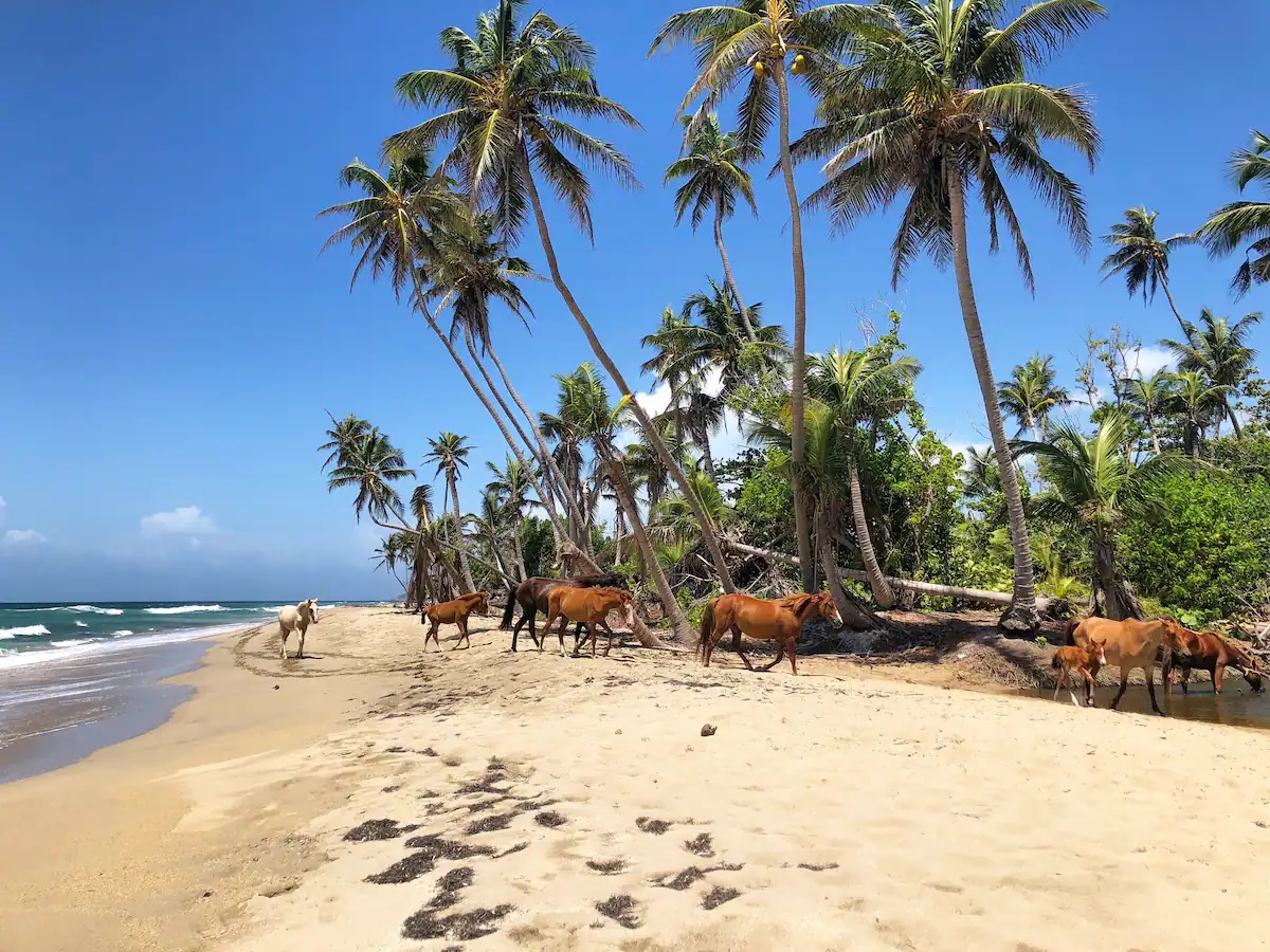 How to Plan a Fashion or Editorial Shoot in Puerto Rico (Real Production Guide)