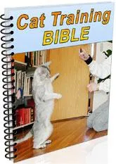 cat training bible