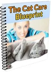 the cat blueprint