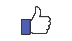 facebook trattoria bar bassone