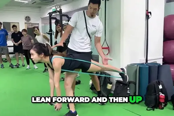 No. 1 Gym Course Excerpt