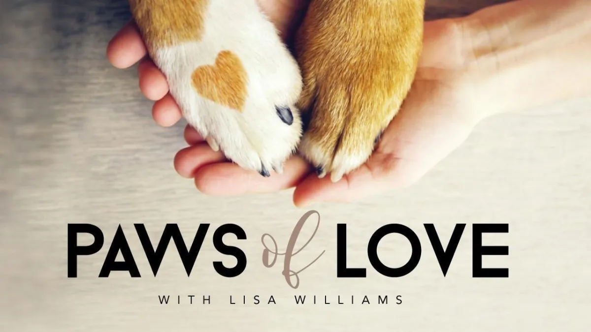 Paws of Love: Pet Healing and  Animal Communication