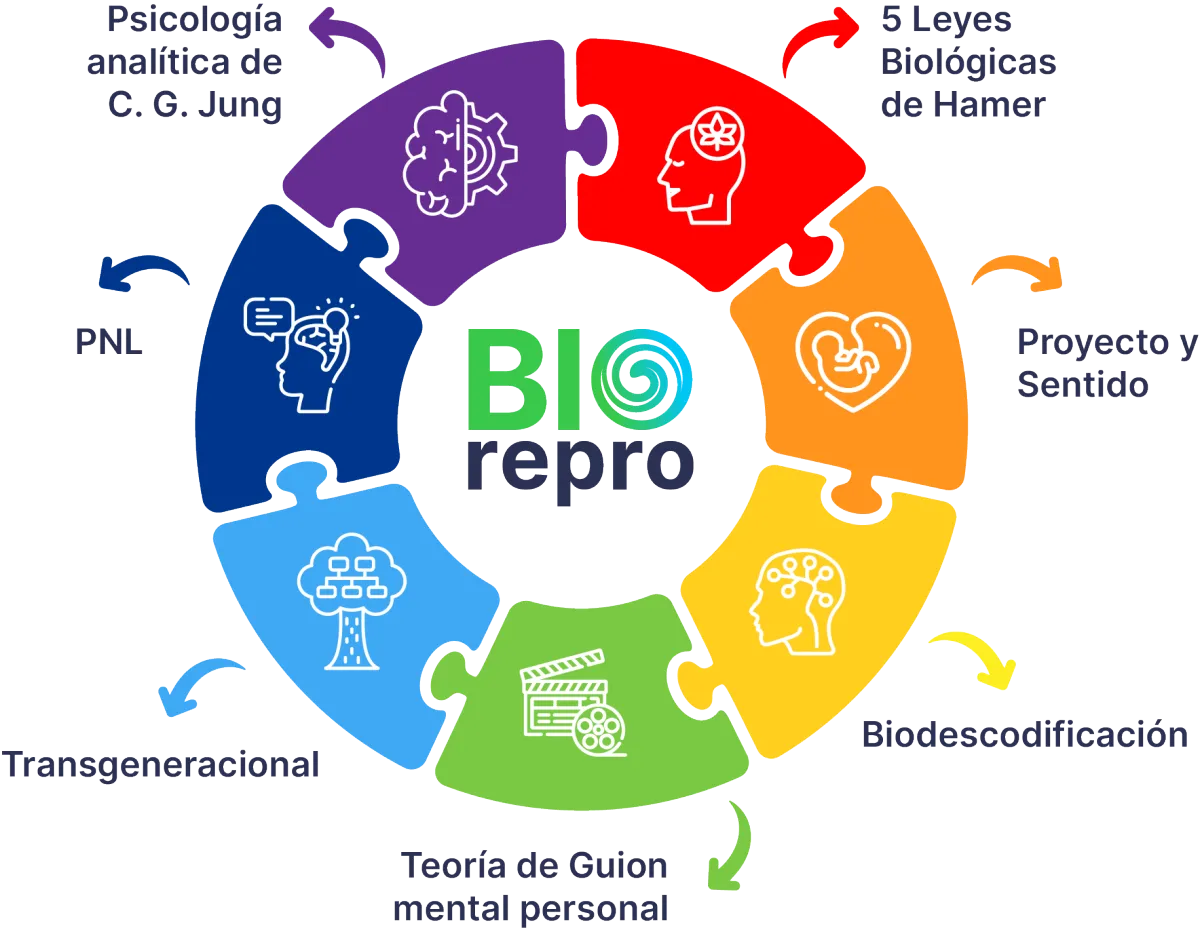 Infografía circular de la metodología integral Bioreprogramación®, detallando sus 7 pilares terapéuticos: Biodescodificación, Psicología de Jung, PNL, Guion Mental Personal, Transgeneracional, 5 Leyes de Hamer y Proyecto Sentido.