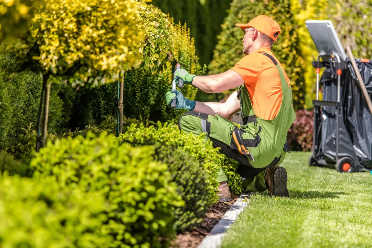 A professional gardener, wearing a bright orange polo shirt, green overalls, an orange cap, and green gloves, is kneeling on a well-maintained lawn, using hand shears to prune a small, yellow-leafed decorative tree or shrub. The background is a lush green garden with various sculpted bushes and a cart with a black waste bag.