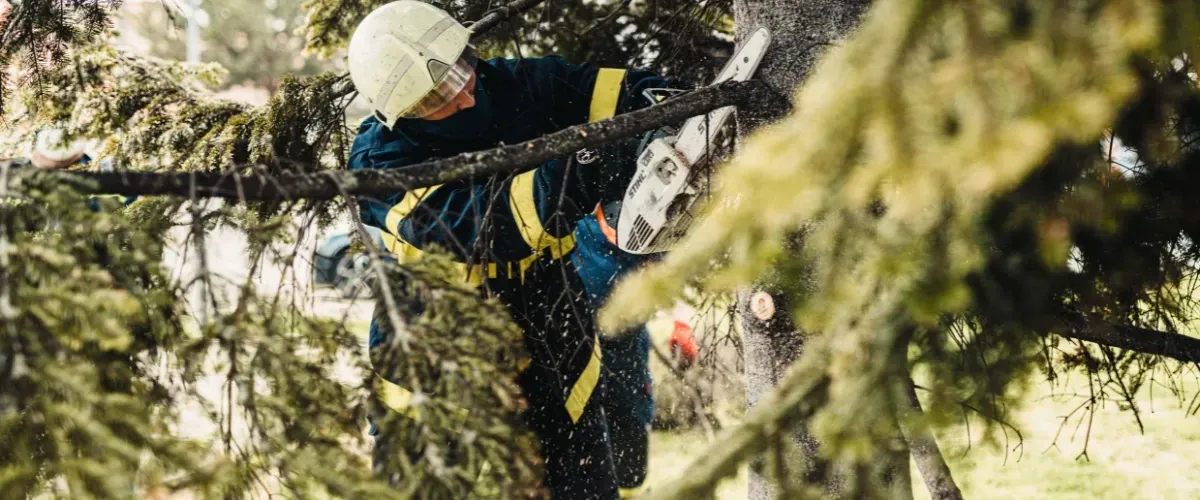 Worker cutting damaged tree after storm using chainsaw and safety gear.