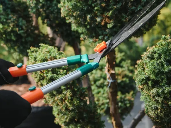 Professional performing lawn mowing as part of regular yard maintenance.