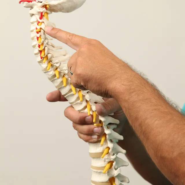 Plano chiropractor holding a spine model to explain detailed evaluation results