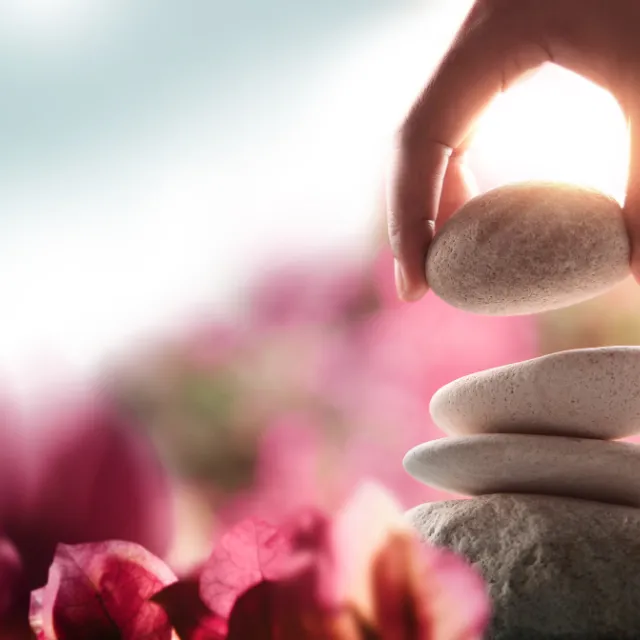Holistic wellness symbols with stones and flowers representing holistic chiropractic focus