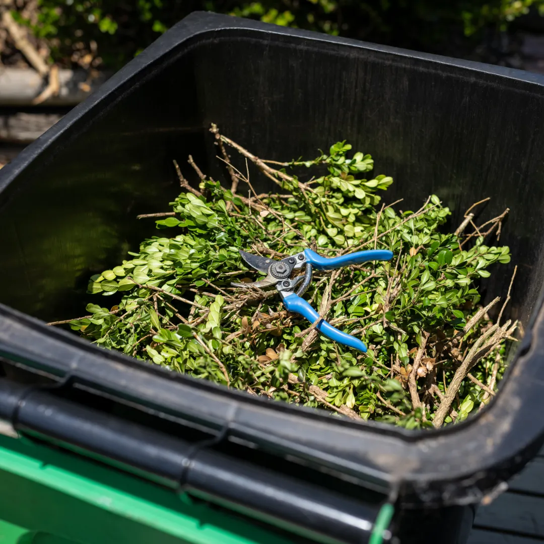 Yard Debris