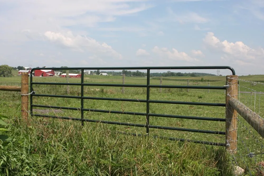 fence repair naples fl