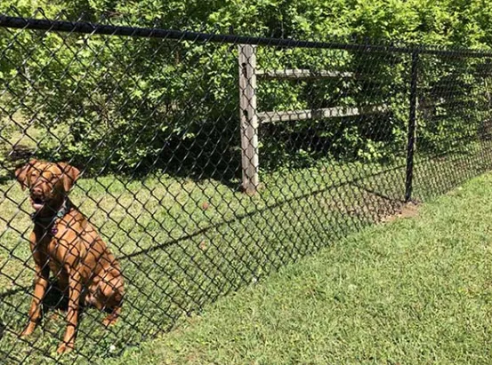 chain link fence jacksonville