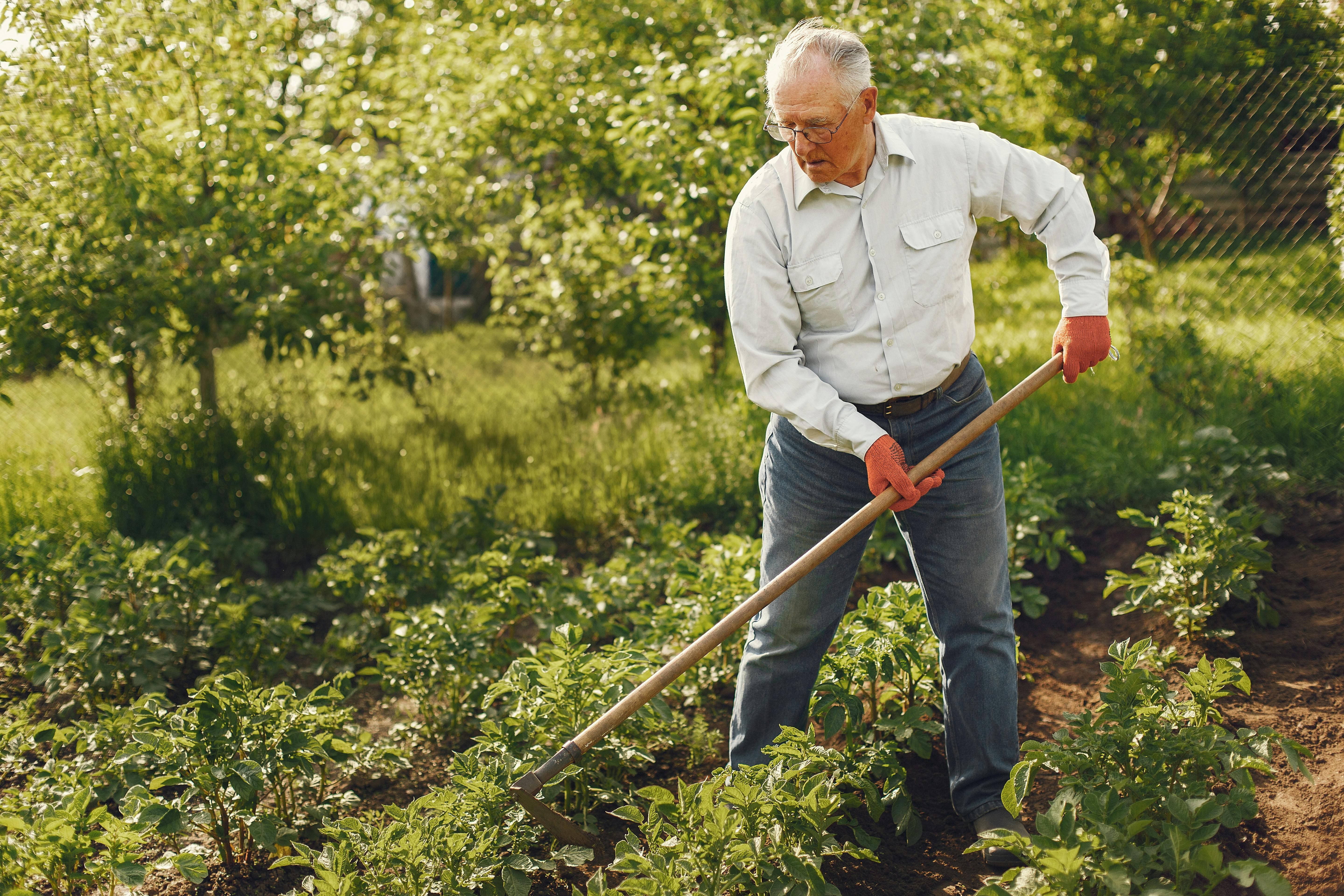white shirt man using scythe to cut plants