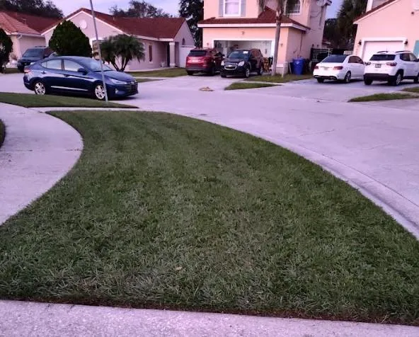 A clean, freshly mowed grass strip along a sunny Kissimmee parkway
