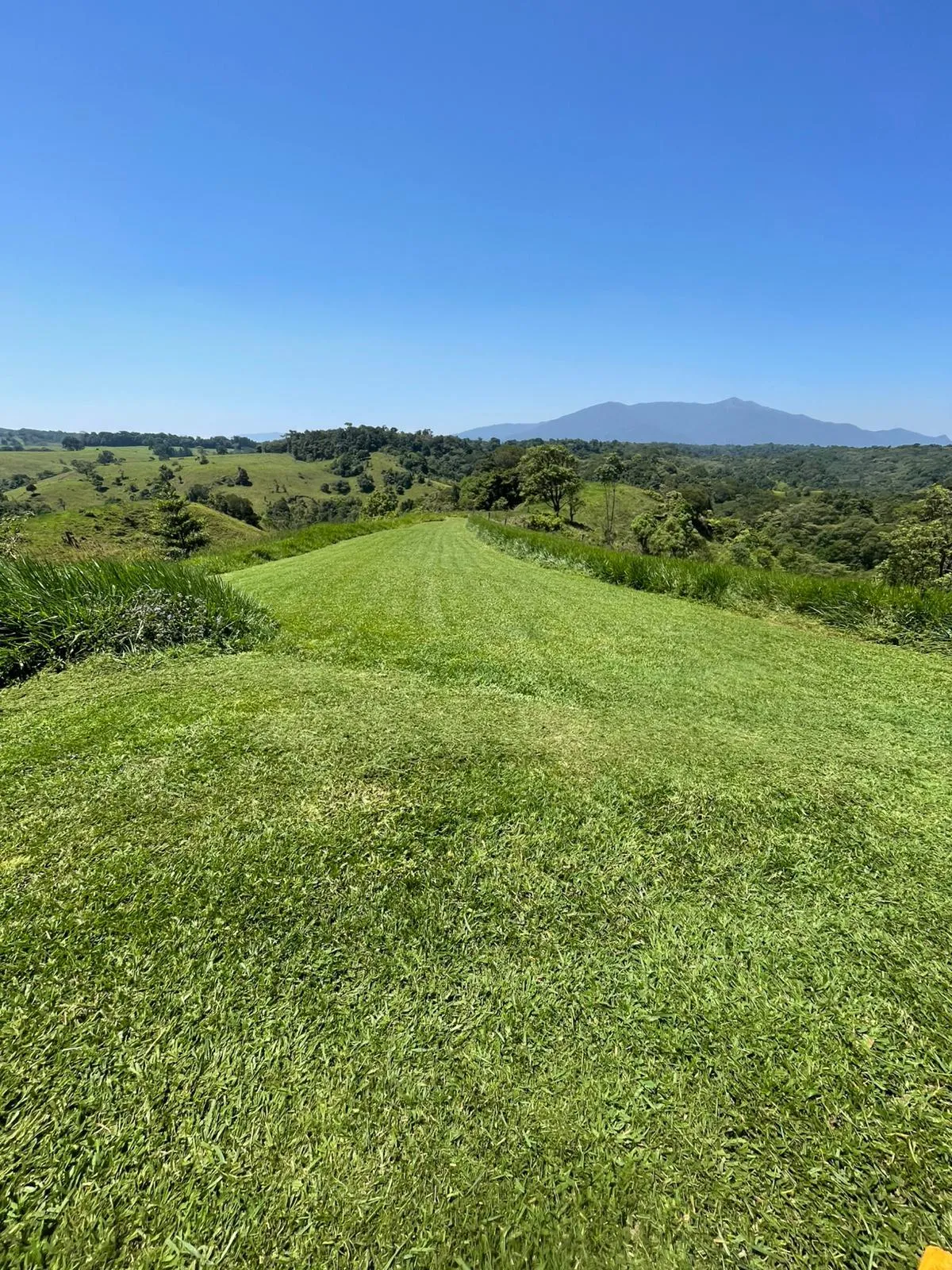 a lawn mower on the lawn