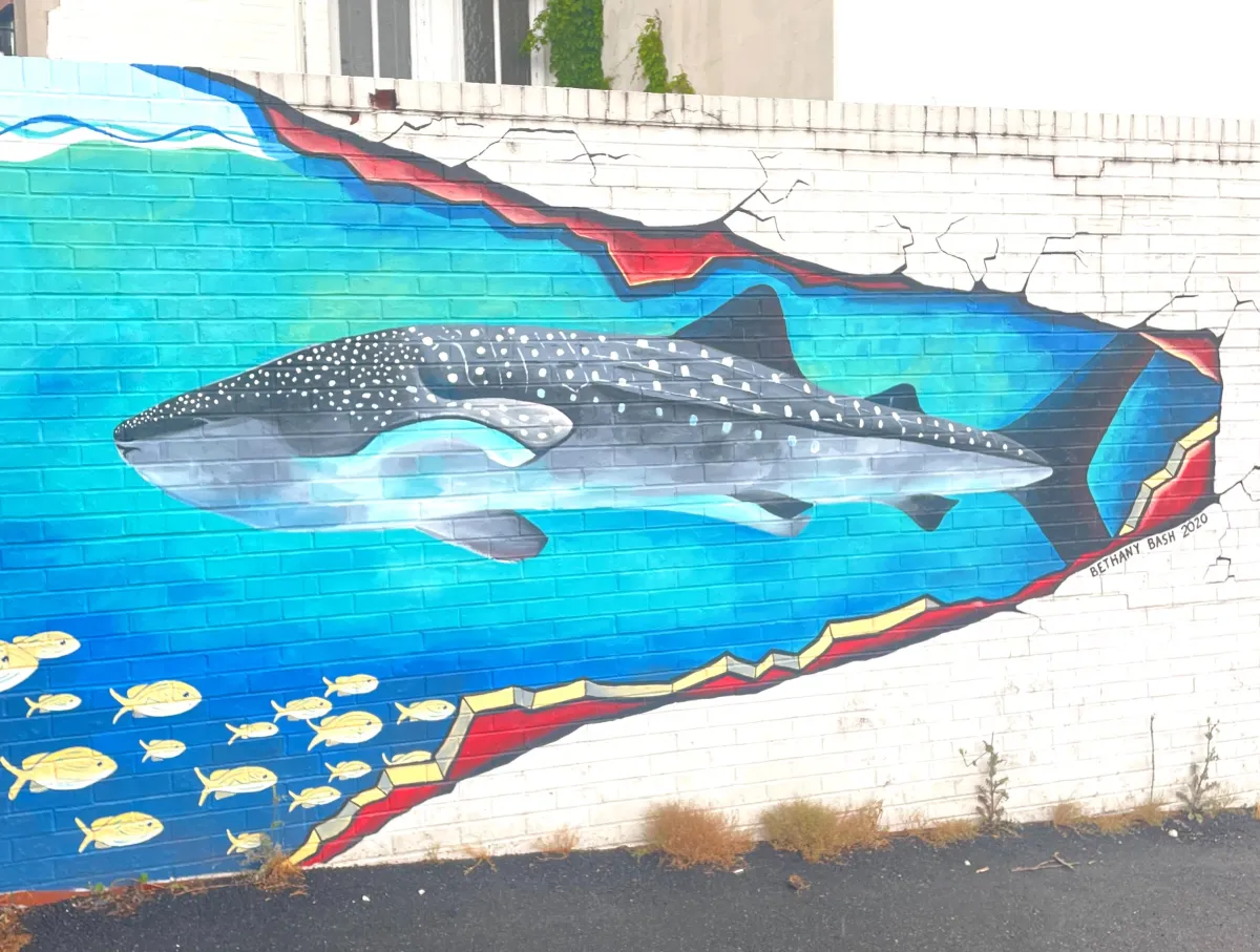 Whale mural in downtown Durham.