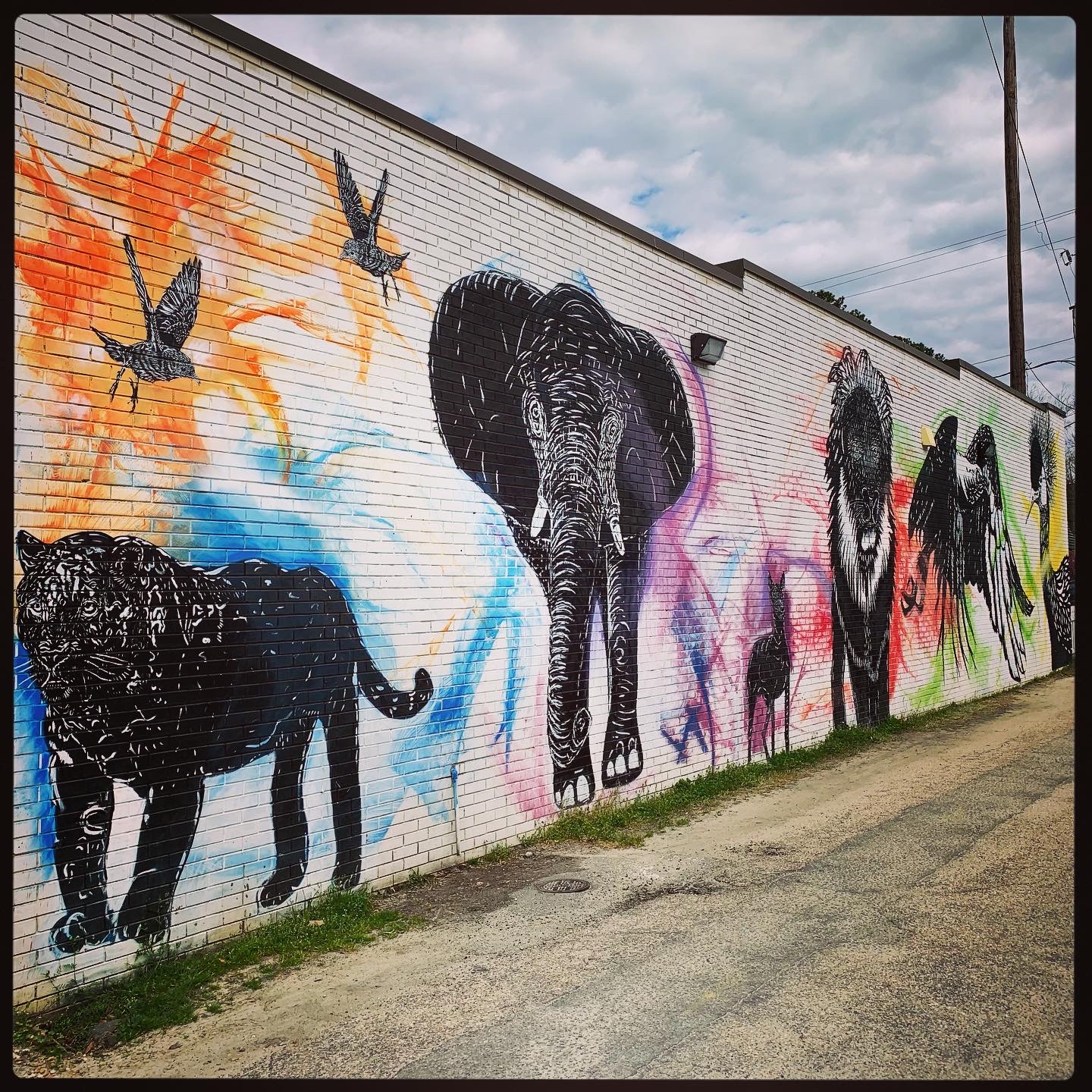 Animal mural in a downtown Fuquay-Varina alley