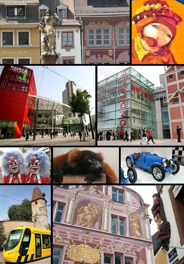 Shed Of Milwaukee - Magasin de Moto - Mulhouse