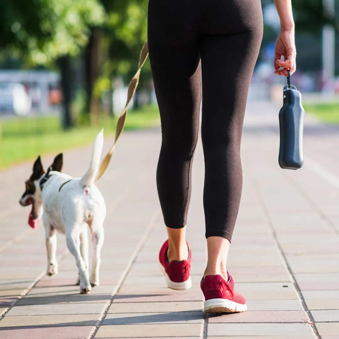 Caminar Después de Comer: un Hábito Sencillo para Glucosa, Digestión y Pérdida de Grasa