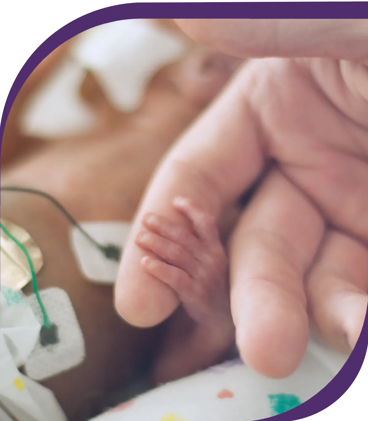 Tiny Preemie Holding Dad's Hand in the NICU