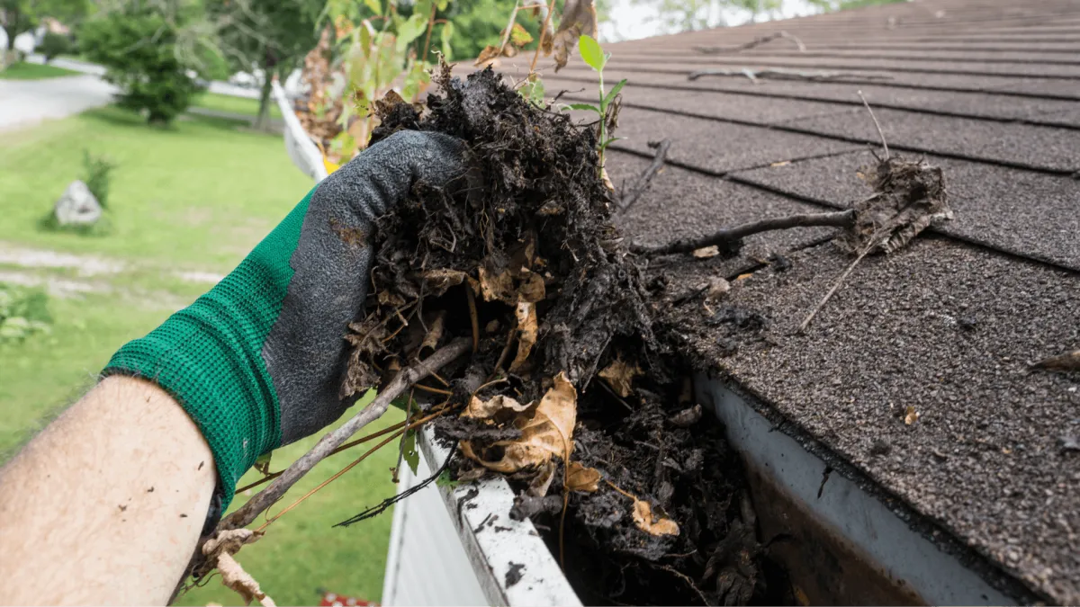 Professional gutter cleaning in Salem OR