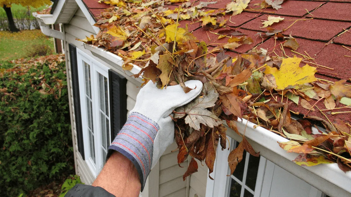 Professional Roof & Gutter Cleaning Salem OR