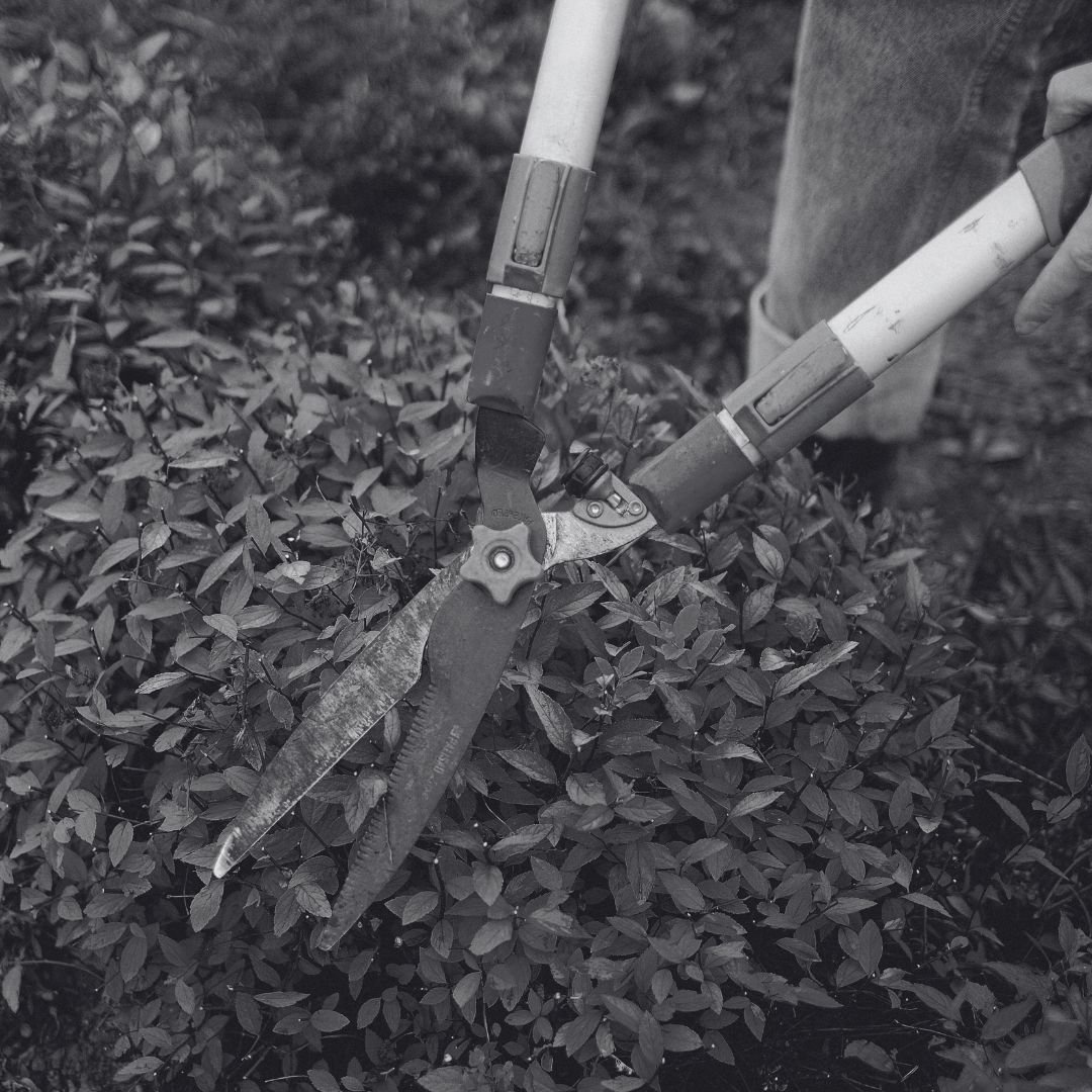 Book More Jobs Without Picking Up the Phone: AI for Lawn and Garden Businesses