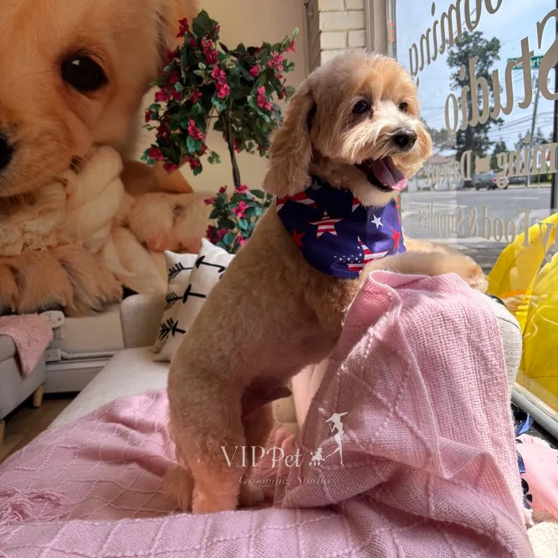 yellow Caterpillar excavator digging up dirt