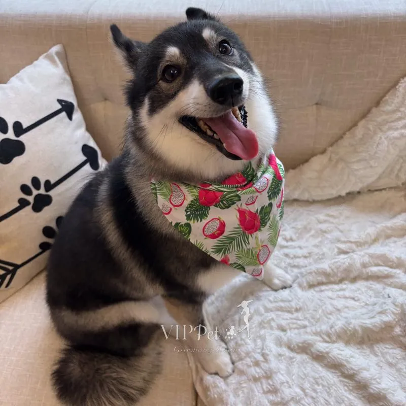 man in blue suit jacket standing beside woman in black coat