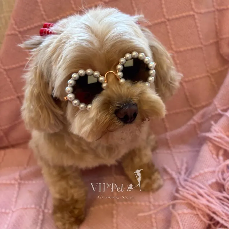yellow Caterpillar excavator digging up dirt