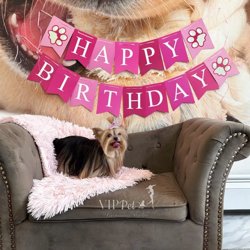 yellow skid steer loader in front of stone