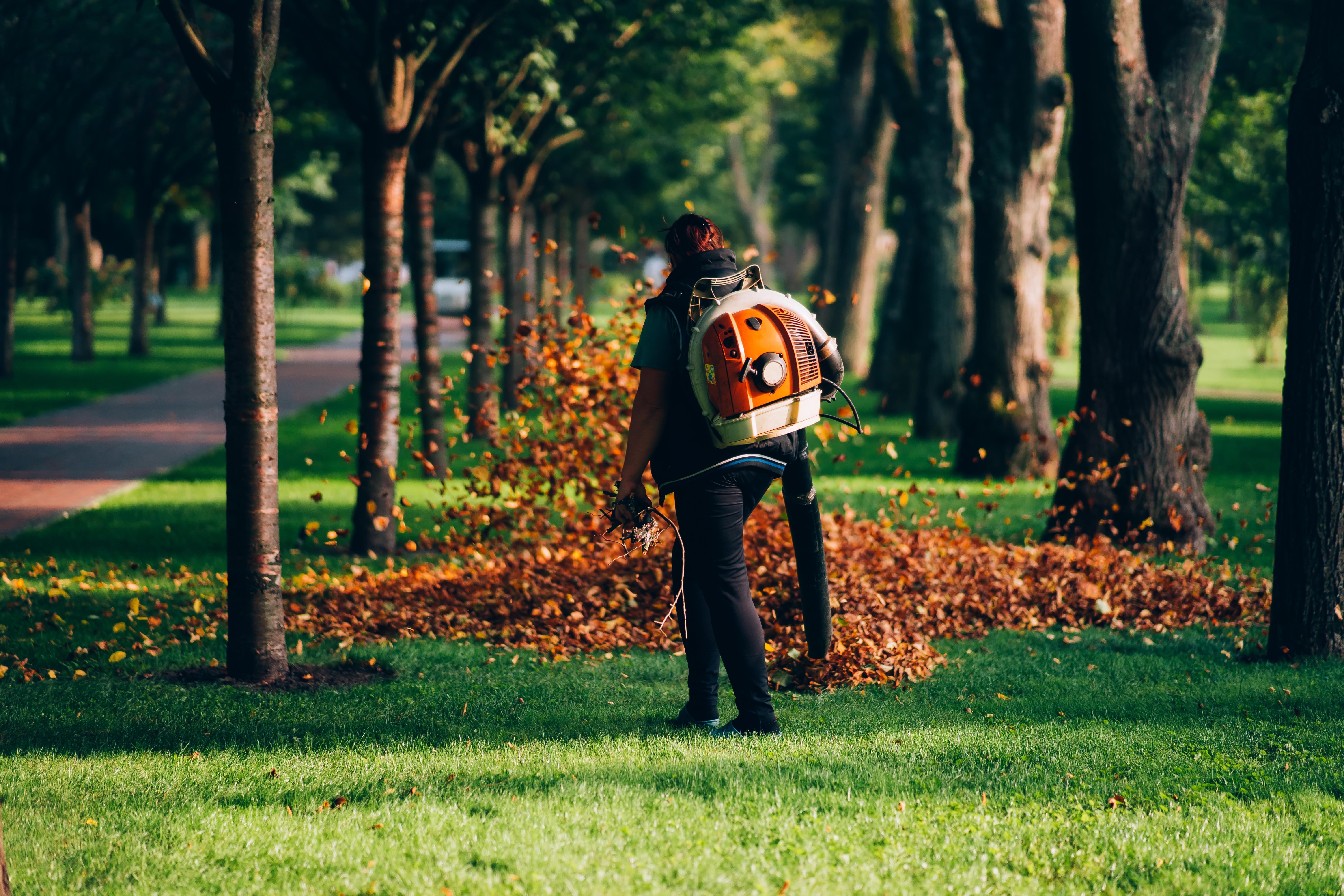 Landscaping business owner working outdoors on a lawn — representing lawn care and landscaping small business owners who qualify for Bayside Business Advisors funding and working capital solutions in Miami.