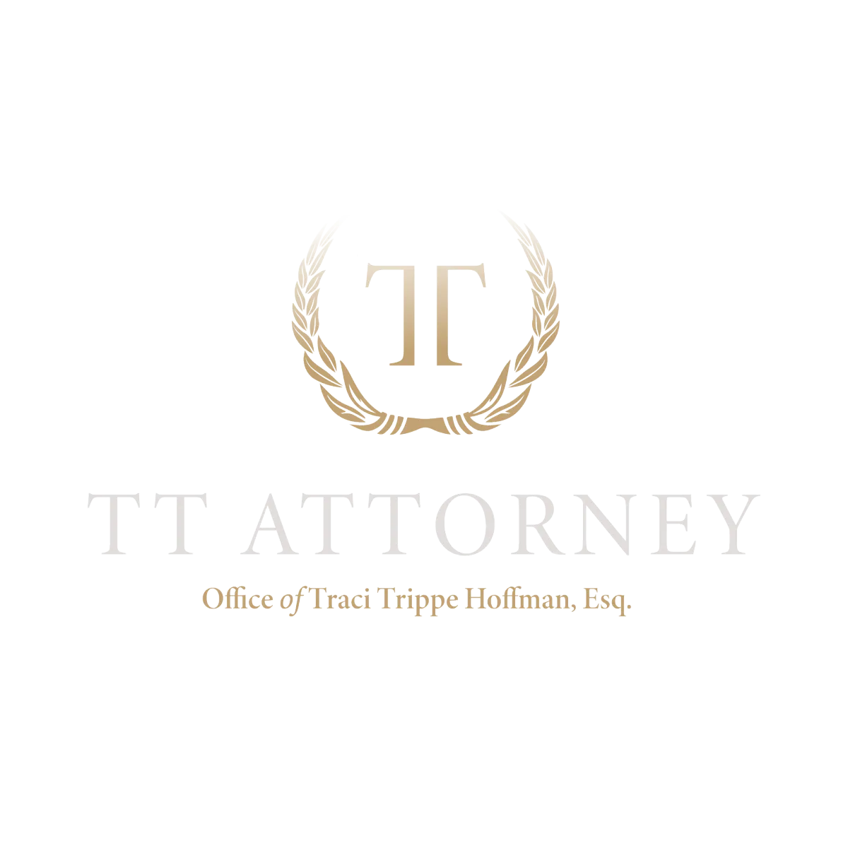 Auto Accident Lawyer | TT Attorney