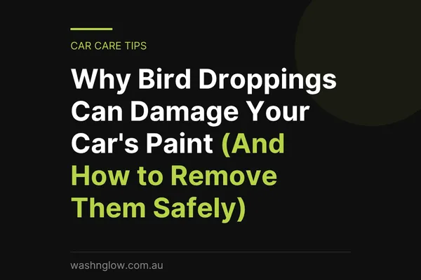 Why Bird Droppings Can Damage Your Car's Paint (And How to Remove Them Safely)